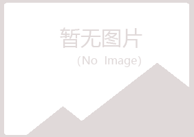 白城晓夏服务有限公司